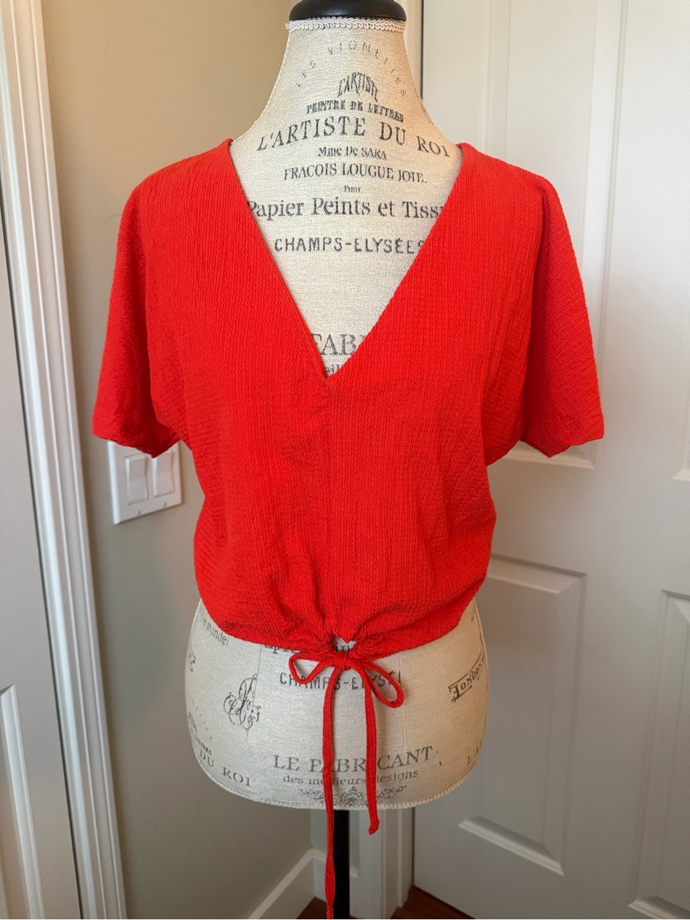 Zara Burnt Orange V-Neck Tie-Front Crop Top